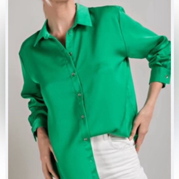 ShopEvelynne Tops - Beautiful Satin Silk Feel Shirt Solid Color Long-Sleeve Button Down